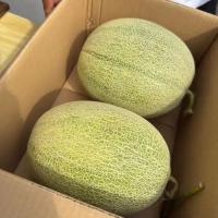有机哈密瓜 礼盒装