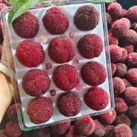 有机杨梅 精选装
